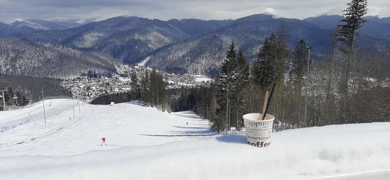 Kalinderu Skier'S Apartament Bellevue Буштени Экстерьер фото