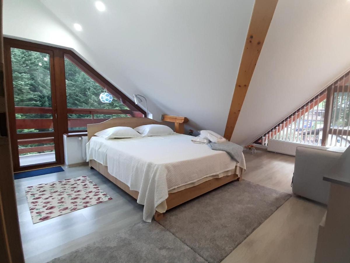 Kalinderu Skier'S Apartament Bellevue Буштени Экстерьер фото